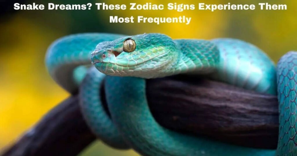 Contextual Interpretations of Snakes in Dreams