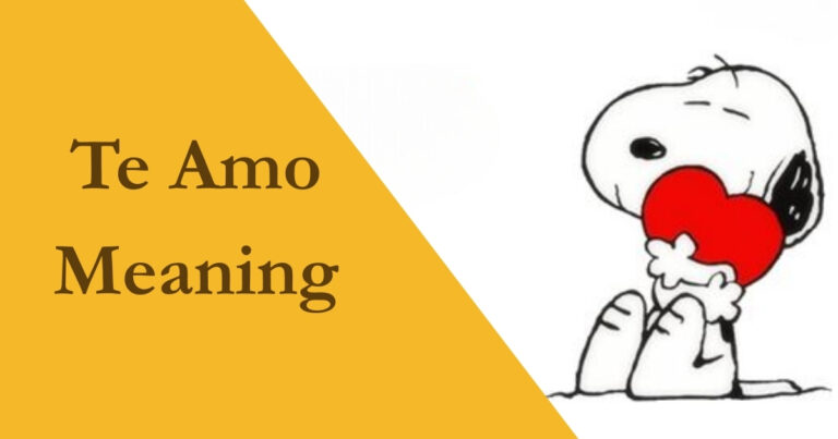 Te Amo Meaning