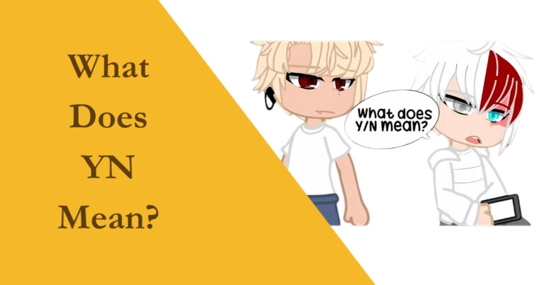 What Does YN Mean