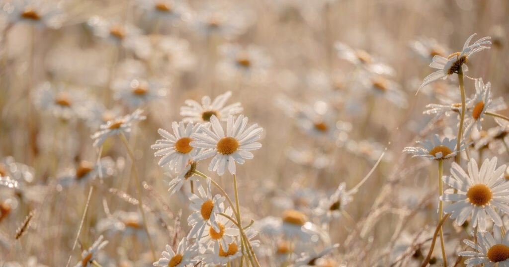 Flirty response to have a good day