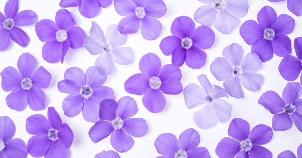 Have a nice day reply to boy