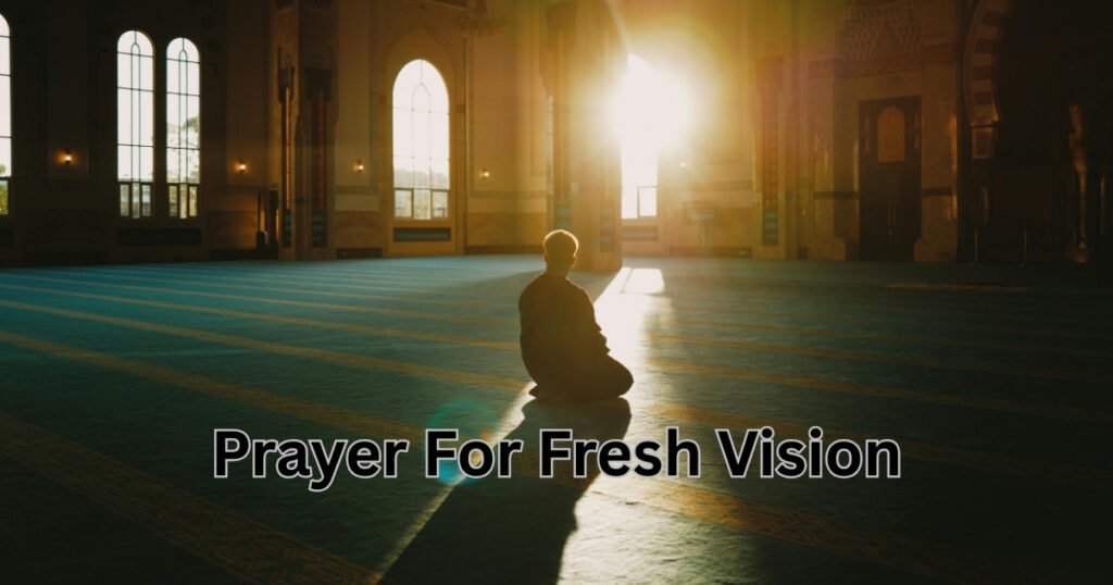 For Fresh Vision